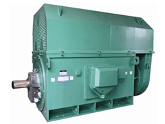 普陀Y系列6KV高压电机